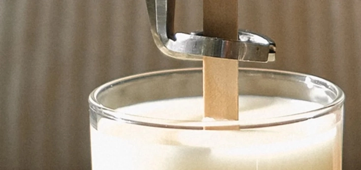 Mèche en bois crépitante installée artisanalement dans une bougie naturelle