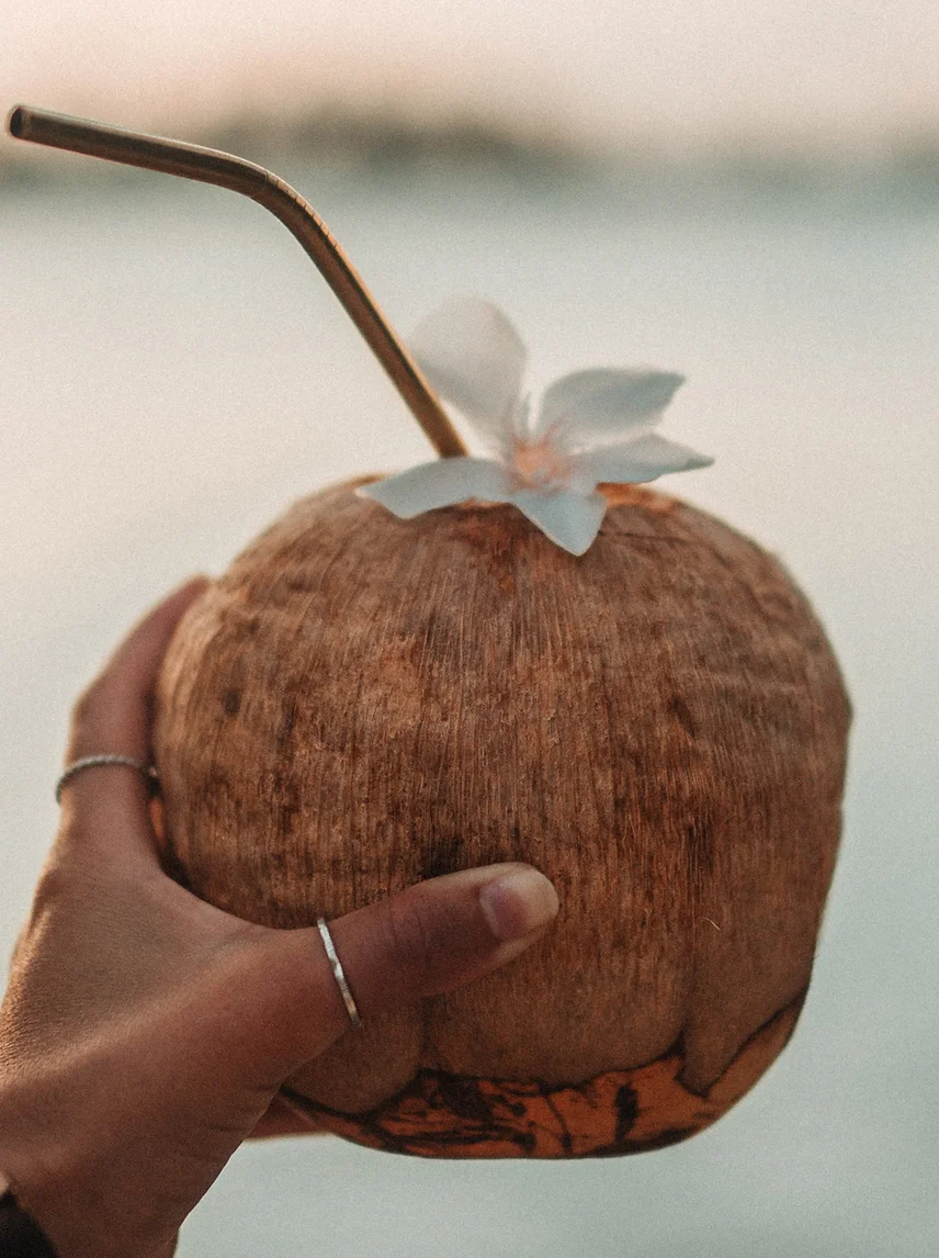 Noix de coco fraîche évoquant les plages exotiques pour le parfum Sable fin - Notes vanillées